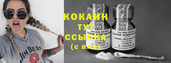 ешки Бородино