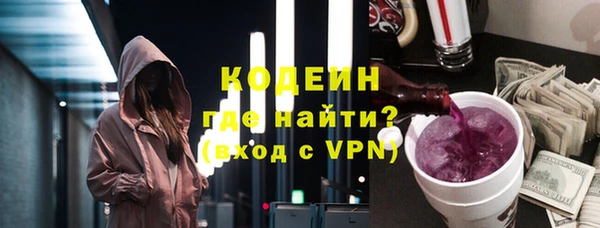 ешки Бородино