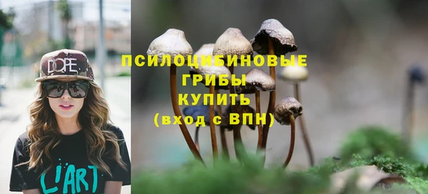 ешки Бородино