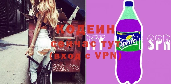 ешки Бородино