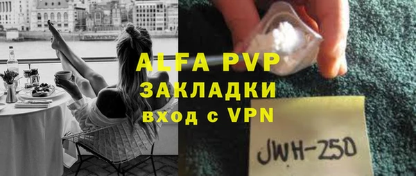 ешки Бородино